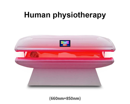 kopen PDT-van de het Rode lichttherapie van de Pijnhulp de Therapie van het het Bedfoton voor Lichaam het Witten online vervaardiging