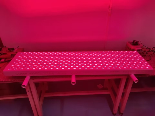 kopen 3000W de Therapieapparaat van het de rode Therapiecomité LEIDENE Timings660nm 850nm Rode licht van PDT online vervaardiging