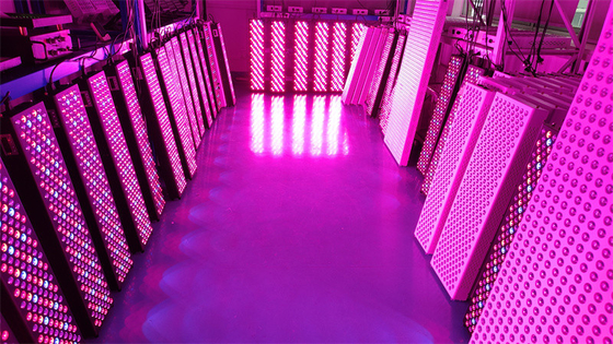 kopen High Power 1000W Full Body Red Light Therapy Panel met 50Hz-60Hz frequentiebereik en 60° straalhoek online vervaardiging