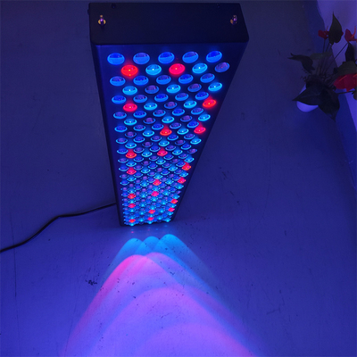 kopen Professionele roodlichttherapie-panelen voor het volledige lichaam online vervaardiging