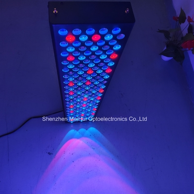 kopen NIR licht rood licht huidtherapie apparaten voor thuisgebruik 1000W 9-kleur spectrum online vervaardiging