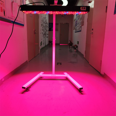 kopen 300-6000W infrarood PDT lichttherapieapparaat OEM/ODM 8 golflengten Model Geheel lichaam Gebruik online vervaardiging