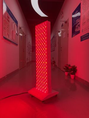 kopen High Power 2000W Red + Near Infrared Light Panel – OEM Factory with Pulse Mode & Brightness Control online vervaardiging