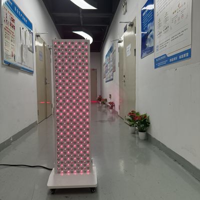 kopen 2000W LCD Roodlichttherapie Apparaat – Professionele Huidherstel & Spierherstel Paneel online vervaardiging