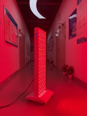 kopen OEM Factory Supply 2000W Red Light Therapy Panel – 630/660/810/830/850nm Wavelength Options online vervaardiging