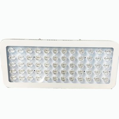 kopen het Rode licht van 300W 850nm en Dichtbijgelegen Infrarode Lichte Therapie voor Kniepijn online vervaardiging