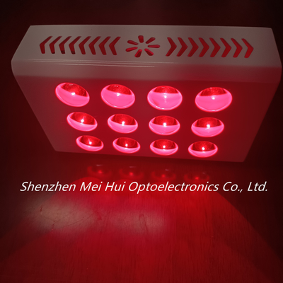 de Machines van de het Rode lichttherapie van 40W PDT Anti het Verouderen Dalingsontsteking