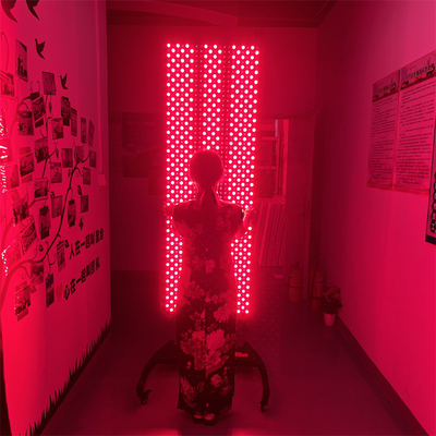 660nm 850nm rood licht therapie machines voor pijnverlichting en weefsel regeneratie