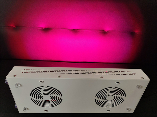 600w Body Care Rood licht therapie apparaat Rood Nir Spectrum Aanpassing voor vlekkeloze huid
