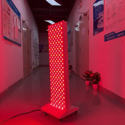 Volledige Lichaamspanelen 2000W 5w 660nm 850nm Staande Moderne Gezondheid Rode Lichttherapie Lamp
