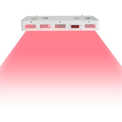 Medische Rang 2 in 1 Infrarode Fysieke Therapie 660nm 850 Nanometer