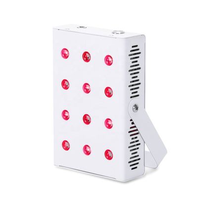 Het navulbare Apparaat van de het Rode lichttherapie van 60w Draagbare