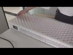 600W rood licht therapie paneel