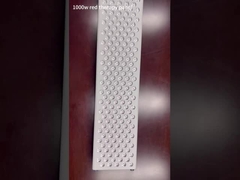 1000W het Comité van de rood lichttherapie