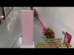 1500W rood licht therapie paneel 660 850nm NIR lichttherapie apparaat met stand