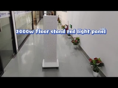 Professionele apparaten voor therapie met rood en nabij-infrarood licht 1000W 9 kleurspectrumw