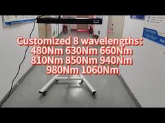 660nm 850nm 1000w Full Body Led Light Therapy Commercieel thuisgebruik